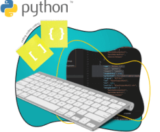 Python Junior